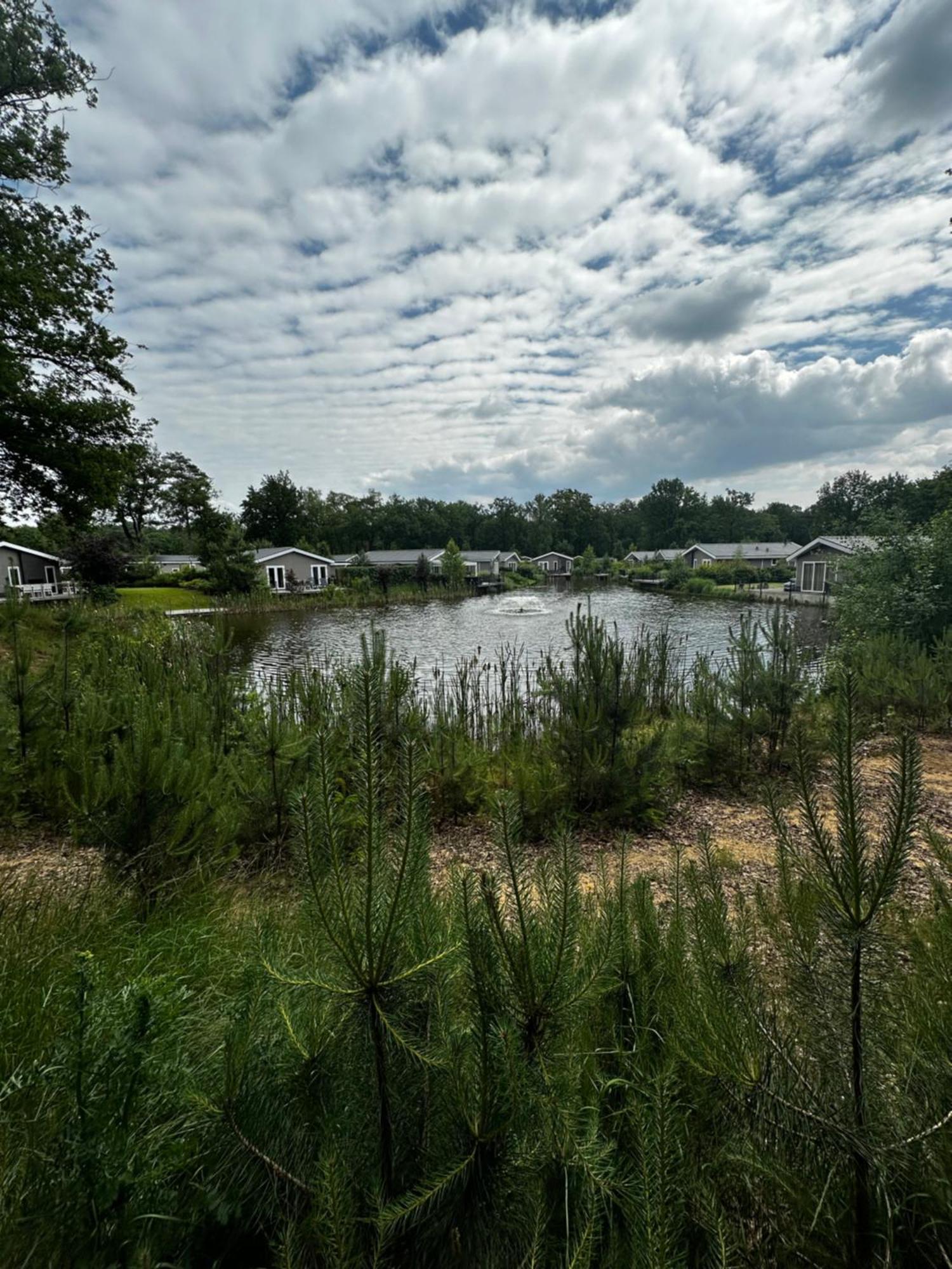 Sfeervolle Blokhut Op De Veluwe Op Recreatiepark Topparken In Beekbergen Met Vrije Tuin En Eigen Parkeerplaats Exterior foto